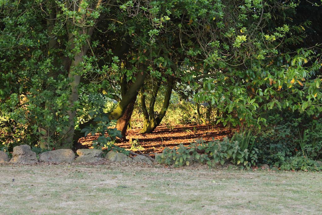 Stamford Farmhouse Bed and Breakfast Alnwick Habitación foto